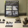 10月18日(火) 「岐阜県博物館サポーター(自然分野)の活動」を自然展示室2にて紹介