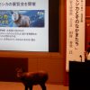 三重県総合博物館 交流企画講演会「カモシカとそのなかまたち」を開催しました。