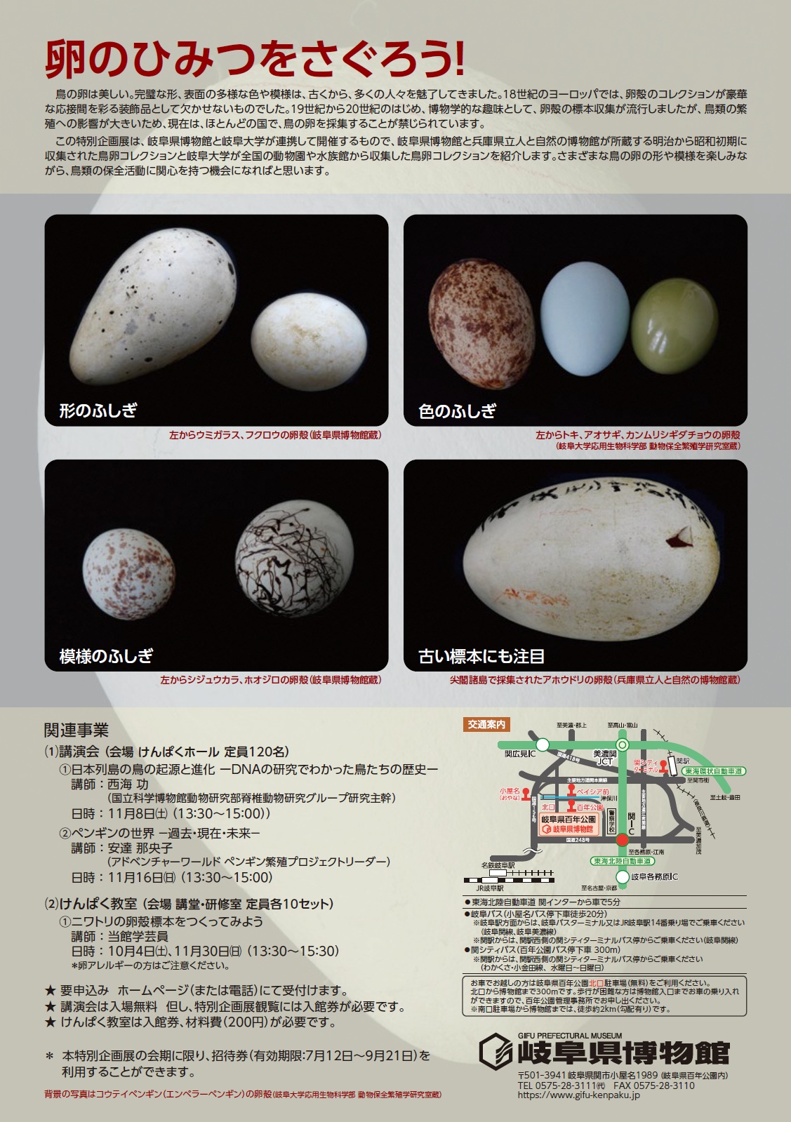特別展 鳥 招待券2枚セット 会期中有効